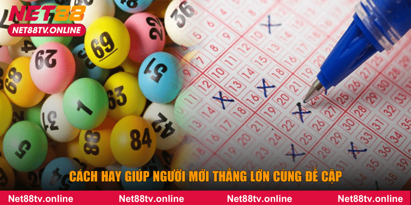 Cách hay giúp người mới thắng lớn cùng đề cặp