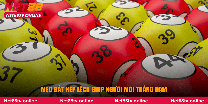 Mẹo bắt kép lệch giúp người mới thắng đậm