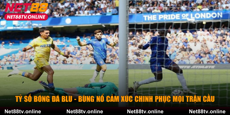 Tỷ số bóng đá blu